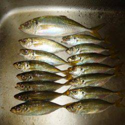 ようやくのジャンボ！