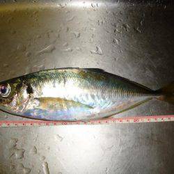 沈黙の後にジャンボ！