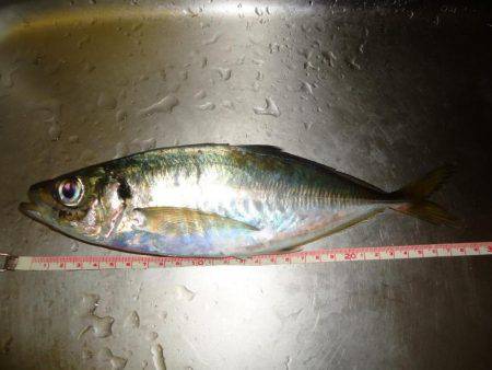 沈黙の後にジャンボ！