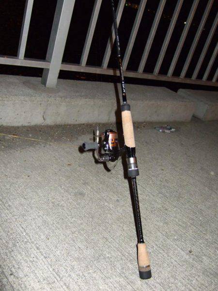 今シーズン初のメバル調査