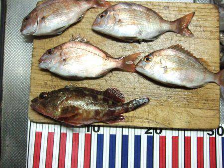 夕方のメバル狙い。