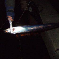 今年最後？のタチウオ釣り。