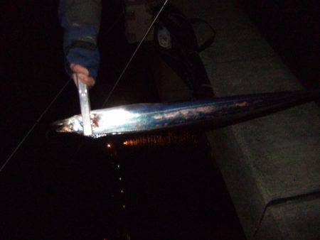 今年最後？のタチウオ釣り。