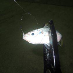 場所とタイミング