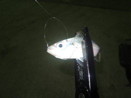 場所とタイミング