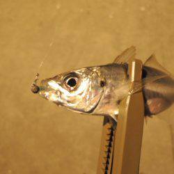 厳しくなってきた