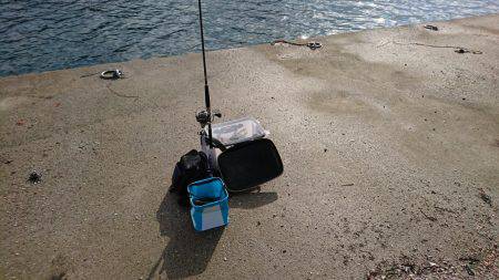 予想もしてなかった魚が