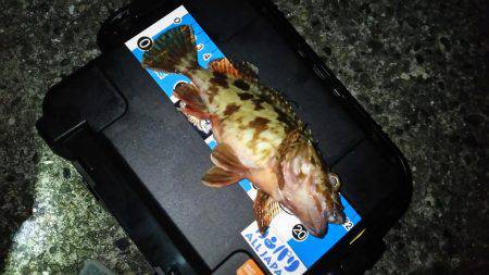 友人とアジングメバリング