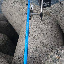 カレイ 投げ釣り