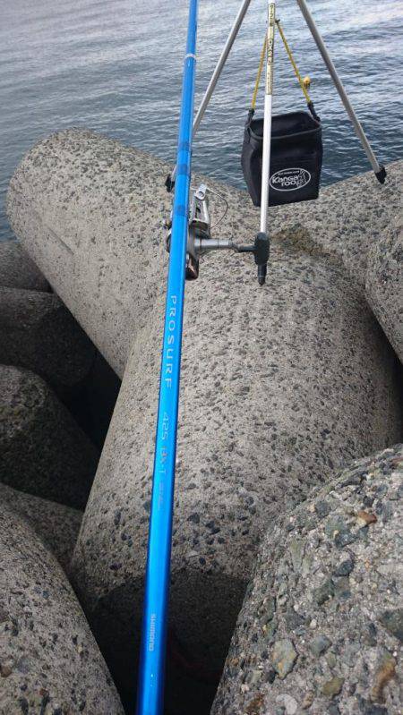 カレイ 投げ釣り