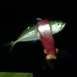 天気は良かったんですが・・・