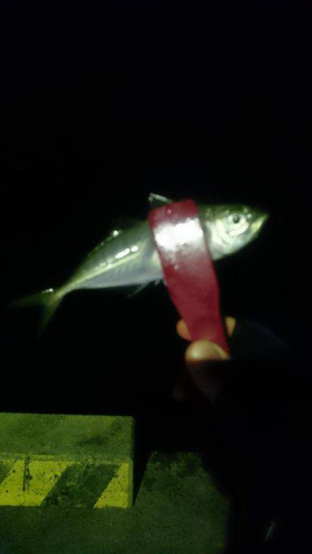 天気は良かったんですが・・・