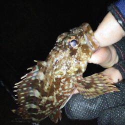 オジサン２人でメリーツリシマス(笑)