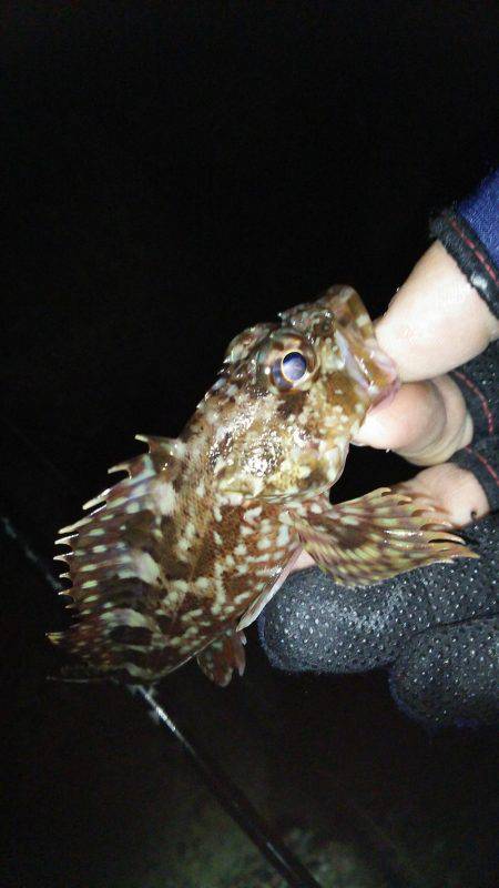 オジサン２人でメリーツリシマス(笑)