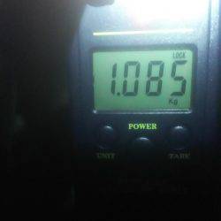 キロアップ釣りました！