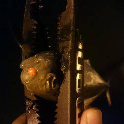 今週もアジング