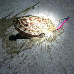 自己最小記録！