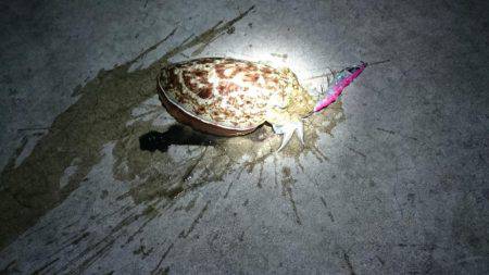 自己最小記録！