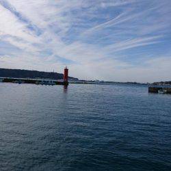 ボートエギング