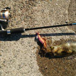 今年最後の釣り