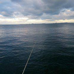 もう終わりかな～