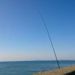 今年最後の新島