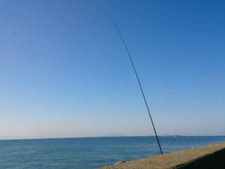 今年最後の新島