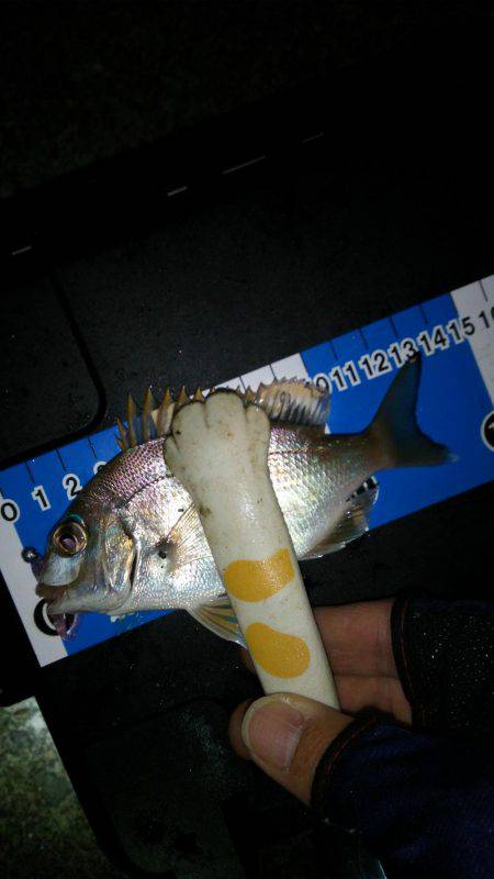 ブロガーさん達とわいわいライトゲームナイト！