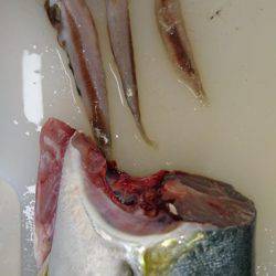 ミラクルな一本♪