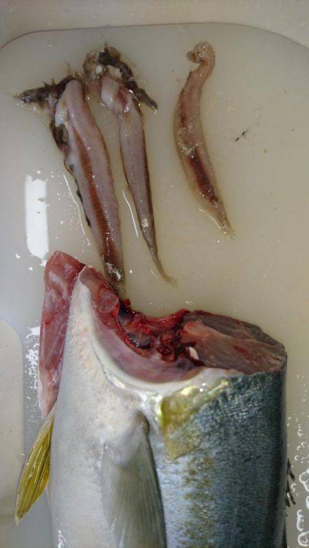 ミラクルな一本♪