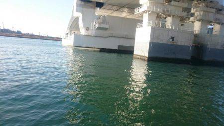 これで本当に釣り納め！