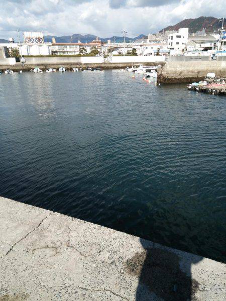 井口港でちょい投げに良型キス