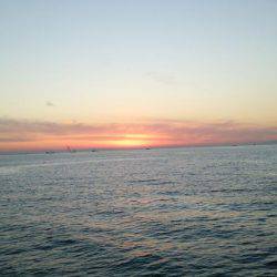 ドラゴンを求めて4