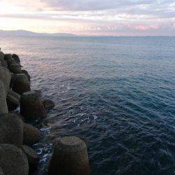 まだまだ青物狙い！