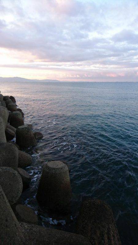 まだまだ青物狙い！