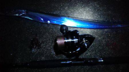 雨上がり!大潮!朝マヅメ!