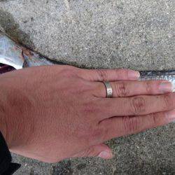 もう終わりかな