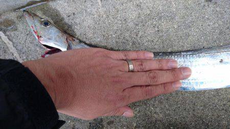 もう終わりかな