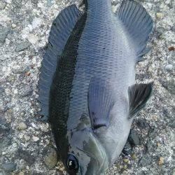 日中にまったりと