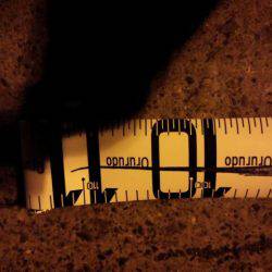 今シーズン最大111センチ。