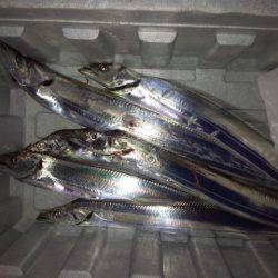 時合いなく前半のみ