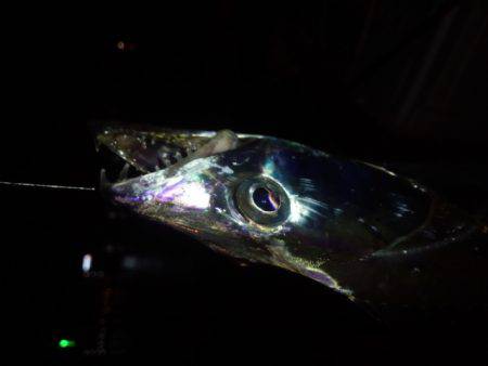 クリスマス釣行…