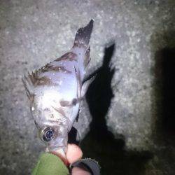 久しぶりにロック。