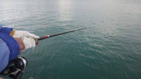 タチウオエサ釣り