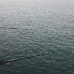 タチウオサビキ