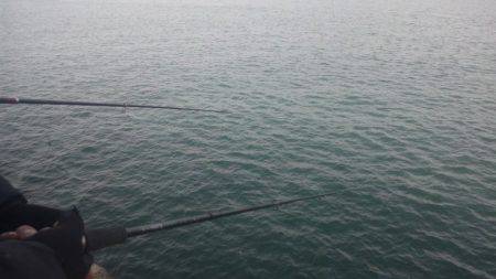 タチウオサビキ