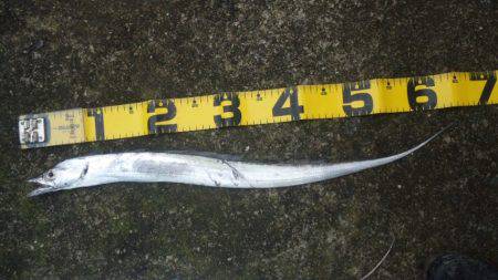 久しぶりに釣りに