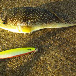 爆風の中・・・