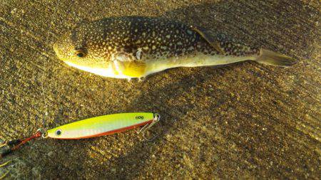 爆風の中・・・