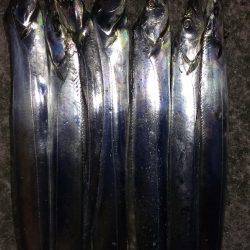 今季一番の釣果